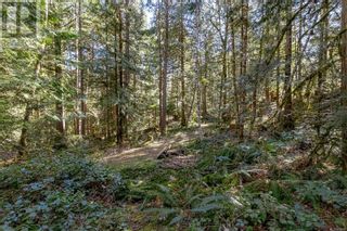 Photo 23: Lot 12 Mountain Rd in Duncan: Vacant Land for sale : MLS®# 959360