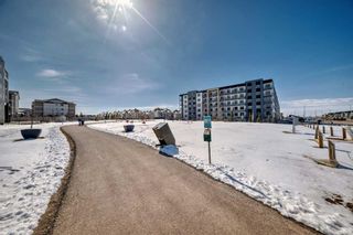 Photo 41: 2214 4641 128 Avenue NE in Calgary: Skyview Ranch Apartment for sale : MLS®# A2120636