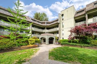 Photo 21: 307 1200 PACIFIC Street in Coquitlam: North Coquitlam Condo for sale : MLS®# R2883557