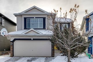 Main Photo: 113 Chapalina Place SE in Calgary: Chaparral Detached for sale : MLS®# A2018591