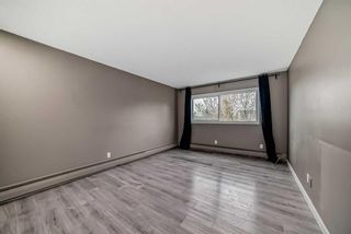 Photo 30: 114 6919 Elbow Drive SW in Calgary: Kelvin Grove Apartment for sale : MLS®# A2129812