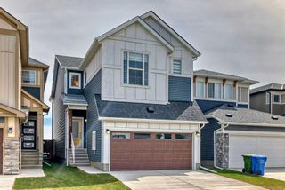 Photo 1: 146 Homestead Park NE in Calgary: C-686 Detached for sale : MLS®# A2128607