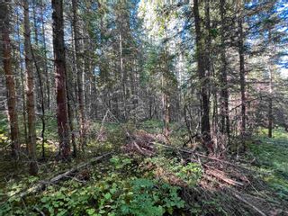 Photo 24: LOT 3 CAVE Road in Williams Lake: Horsefly Land for sale : MLS®# R2719437