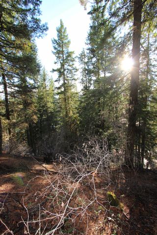 Photo 12: Lot 22 Vickers Trail: Anglemont Vacant Land for sale (North Shuswap)  : MLS®# 10243424