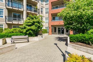 Photo 7: C112 20211 66 Avenue in Langley: Willoughby Heights Condo for sale in "Elements" : MLS®# R2759988