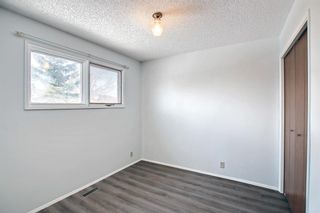 Photo 22: 4531 43 Street NE in Calgary: Whitehorn Detached for sale : MLS®# A1209196
