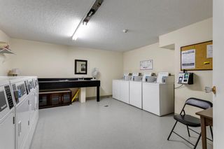 Photo 17: 207 8403 Fairmount Drive SE in Calgary: Acadia Apartment for sale : MLS®# A2025705