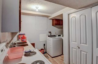Photo 22: 5015 Whitehorn Drive NE in Calgary: Whitehorn Detached for sale : MLS®# A2131299