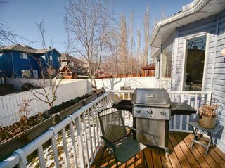Photo 38: 262 Chaparral Court SE in Calgary: Chaparral Detached for sale : MLS®# A2119527