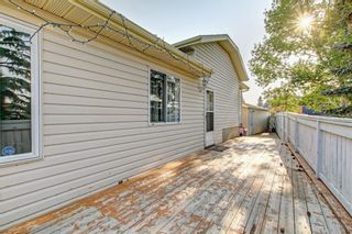 Photo 40: 25 Martinview Crescent NE in Calgary: Martindale Detached for sale : MLS®# A1107227