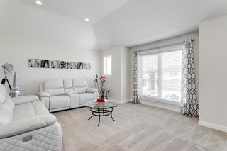 Photo 26: 262 Baywater Way SW: Airdrie Detached for sale : MLS®# A1217104
