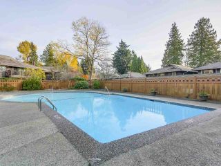 Photo 2: 1203 555 W 28TH Street in North Vancouver: Upper Lonsdale Townhouse for sale in "CEDAR BROOK VILLAGE" : MLS®# R2324026