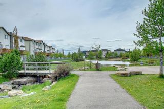 Photo 47: 218 Canoe Square SW: Airdrie Detached for sale : MLS®# A1211448