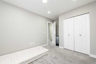 Photo 21: 287 Martindale Boulevard NE in Calgary: Martindale Detached for sale : MLS®# A2127561