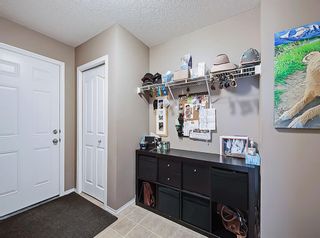Photo 15: 250 Royal Birch Way NW in Calgary: Royal Oak Detached for sale : MLS®# A1254634