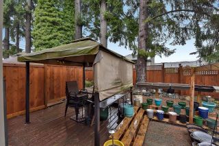 Photo 25: 50 16016 82 Avenue in Surrey: Fleetwood Tynehead Townhouse for sale in "MAPLE COURT" : MLS®# R2626480