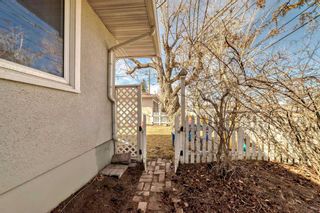 Photo 39: 2333 24 Avenue SW in Calgary: Richmond Detached for sale : MLS®# A2123502