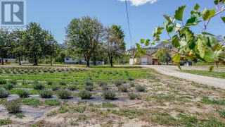 Photo 2: 7762 ISLAND Road in Oliver: Agriculture for sale : MLS®# 10303442
