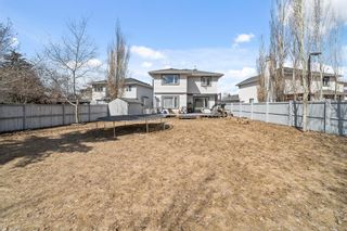 Photo 40: 312 Mt Selkirk Close SE in Calgary: McKenzie Lake Detached for sale : MLS®# A2039542