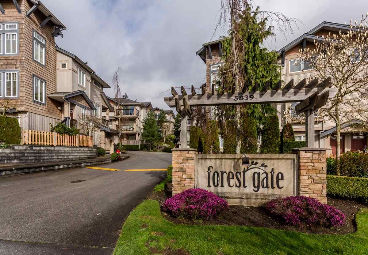 Main Photo: 17 5839 PANORAMA Drive in Surrey: Sullivan Station Townhouse for sale in "Forest Gate" : MLS®# R2046887
