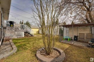 Photo 25: 11031 157 Street in Edmonton: Zone 21 House for sale : MLS®# E4384153