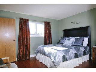 Photo 5: 21076 118TH Avenue in Maple Ridge: Southwest Maple Ridge House for sale : MLS®# V1046203