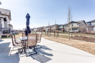 Photo 44: 66 Skyview Point Rise NE in Calgary: Skyview Ranch Detached for sale : MLS®# A1212489