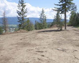 Photo 12: #21 251 Old Salmon Arm Road, in Enderby: Vacant Land for sale : MLS®# 10255517