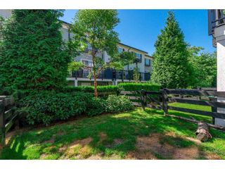 Photo 18: 28 18983 72A Avenue in Surrey: Clayton Townhouse for sale (Cloverdale)  : MLS®# R2286875