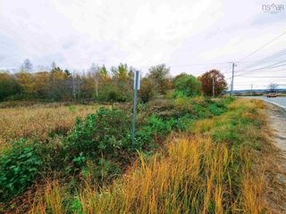 Photo 8: Lots Nichols Avenue in Chipmans Corner: 404-Kings County Vacant Land for sale (Annapolis Valley)  : MLS®# 202126910