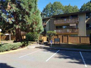 Photo 1: 310 10061 150TH Street in Surrey: Guildford Condo for sale in "forest manor" (North Surrey)  : MLS®# R2206129