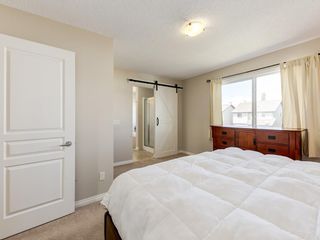Photo 27: 976 COPPERFIELD Boulevard SE in Calgary: Copperfield Detached for sale : MLS®# C4303066