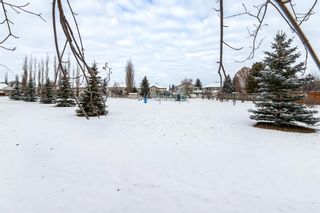 Photo 33: : Lacombe Detached for sale : MLS®# A2094011
