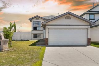 Main Photo: 295 Applewood Drive SE in Calgary: Applewood Park Detached for sale : MLS®# A2060946