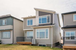 Photo 44: 78 Belvedere Green in Calgary: Belvedere Detached for sale : MLS®# A2043501