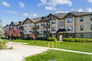 Photo 3: 308 37 Prestwick Drive SE in Calgary: McKenzie Towne Apartment for sale : MLS®# A1209987