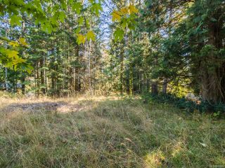 Photo 7: LOT 4 Extension Rd in NANAIMO: Na Extension Land for sale (Nanaimo)  : MLS®# 830670