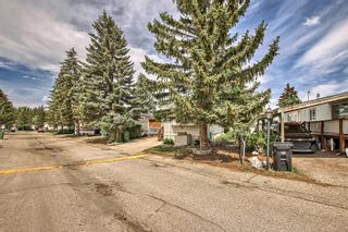 Photo 39: 26 3223 83 Street NW in Calgary: Greenwood/Greenbriar Mobile for sale : MLS®# A2054208