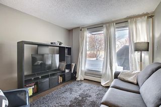 Photo 18: 105 4127 Bow Trail SW in Calgary: Rosscarrock Apartment for sale : MLS®# A1080853