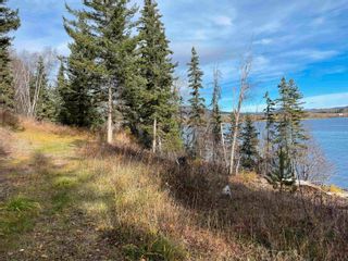 Photo 11: Block A STELLA Road: Fraser Lake Land for sale (Vanderhoof And Area)  : MLS®# R2714160