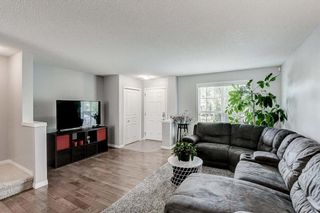 Photo 13: 549 Auburn Bay Avenue SE in Calgary: Auburn Bay Semi Detached (Half Duplex) for sale : MLS®# A2004089