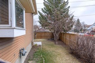 Photo 13: 172 Berkshire Close NW in Calgary: Beddington Heights Detached for sale : MLS®# A1092529