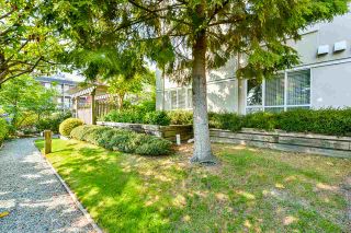 Photo 27: 104 20448 PARK Avenue in Langley: Langley City Condo for sale in "James Court" : MLS®# R2497317