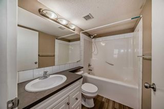 Photo 30: 214 2000 Applevillage Court SE in Calgary: Applewood Park Apartment for sale : MLS®# A2130391