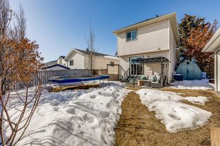 Photo 5: 137 Coventry Place NE in Calgary: Coventry Hills Detached for sale : MLS®# A2033662