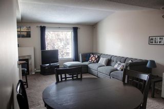 Photo 3: 301 3301 Valleyview Park SE in Calgary: Dover Apartment for sale : MLS®# A1191824