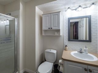 Photo 19: 139 Springs Crescent SE: Airdrie Detached for sale : MLS®# A1065825