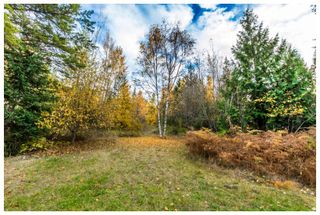 Photo 26: 1546 Blind Bay Road in Blind Bay: Vacant Land for sale : MLS®# 10125568