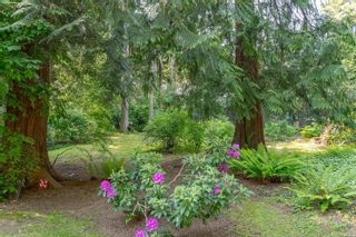 Photo 30: 805 Bradley Dyne Rd in North Saanich: NS Ardmore House for sale : MLS®# 932824