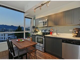Photo 11: # 410 2511 QUEBEC ST in Vancouver: Mount Pleasant VE Condo for sale (Vancouver East)  : MLS®# V1070604